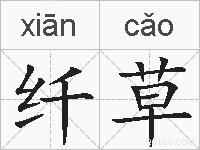 纤草的拼音