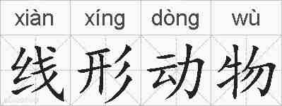 线形动物的拼音