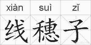 线穗子的拼音