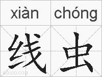 线虫的拼音