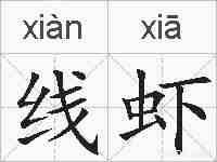 线虾的拼音