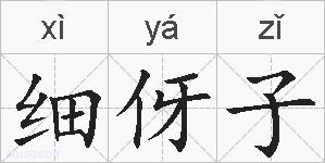 细伢子的拼音