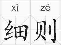 细则的拼音