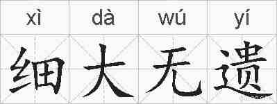 细大无遗的拼音