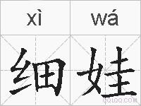 细娃的拼音