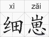 细崽的拼音