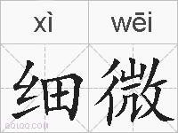 细微的拼音