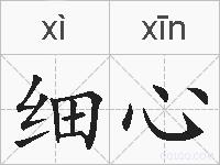 细心的拼音