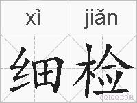 细检的拼音