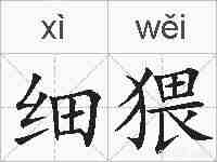 细猥的拼音