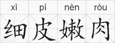 细皮嫩肉的拼音