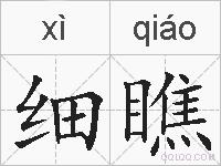 细瞧的拼音