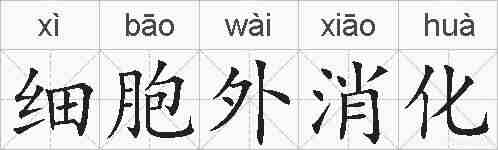 细胞外消化的拼音