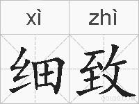 细致的拼音