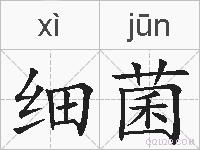 细菌的拼音