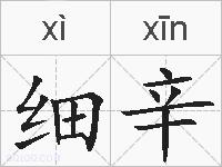 细辛的拼音