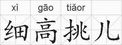 细高挑儿的拼音
