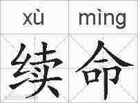 续命的拼音