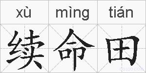 续命田的拼音