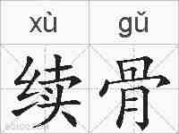 续骨的拼音