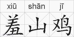 羞山鸡的拼音