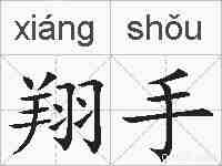 翔手的拼音