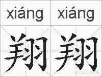 翔翔的拼音