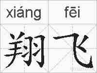 翔飞的拼音