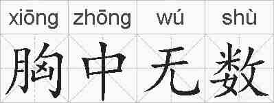 胸中无数的拼音