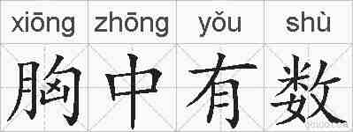 胸中有数的拼音