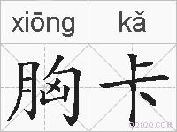 胸卡的拼音