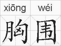 胸围的拼音