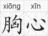 胸心的拼音