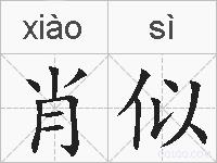 肖似的拼音