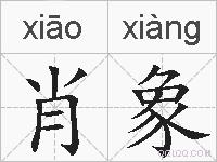 肖象的拼音