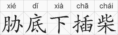 胁底下插柴的拼音