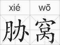 胁窝的拼音