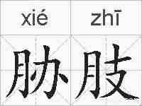 胁肢的拼音
