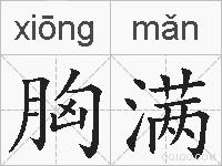 胸满的拼音
