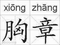 胸章的拼音