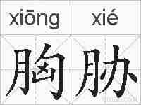 胸胁的拼音