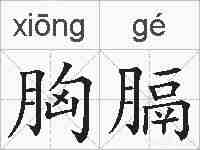 胸膈的拼音