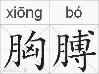 胸膊的拼音