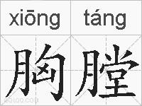 胸膛的拼音