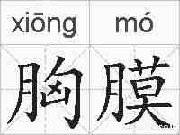 胸膜的拼音