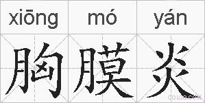 胸膜炎的拼音