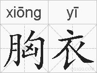 胸衣的拼音