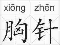 胸针的拼音