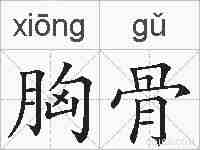 胸骨的拼音