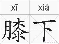 膝下的拼音
